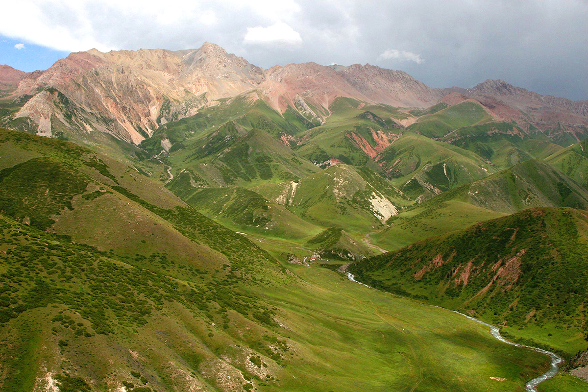 Государственный заповедник Беш-Арал (Кыргызстан)