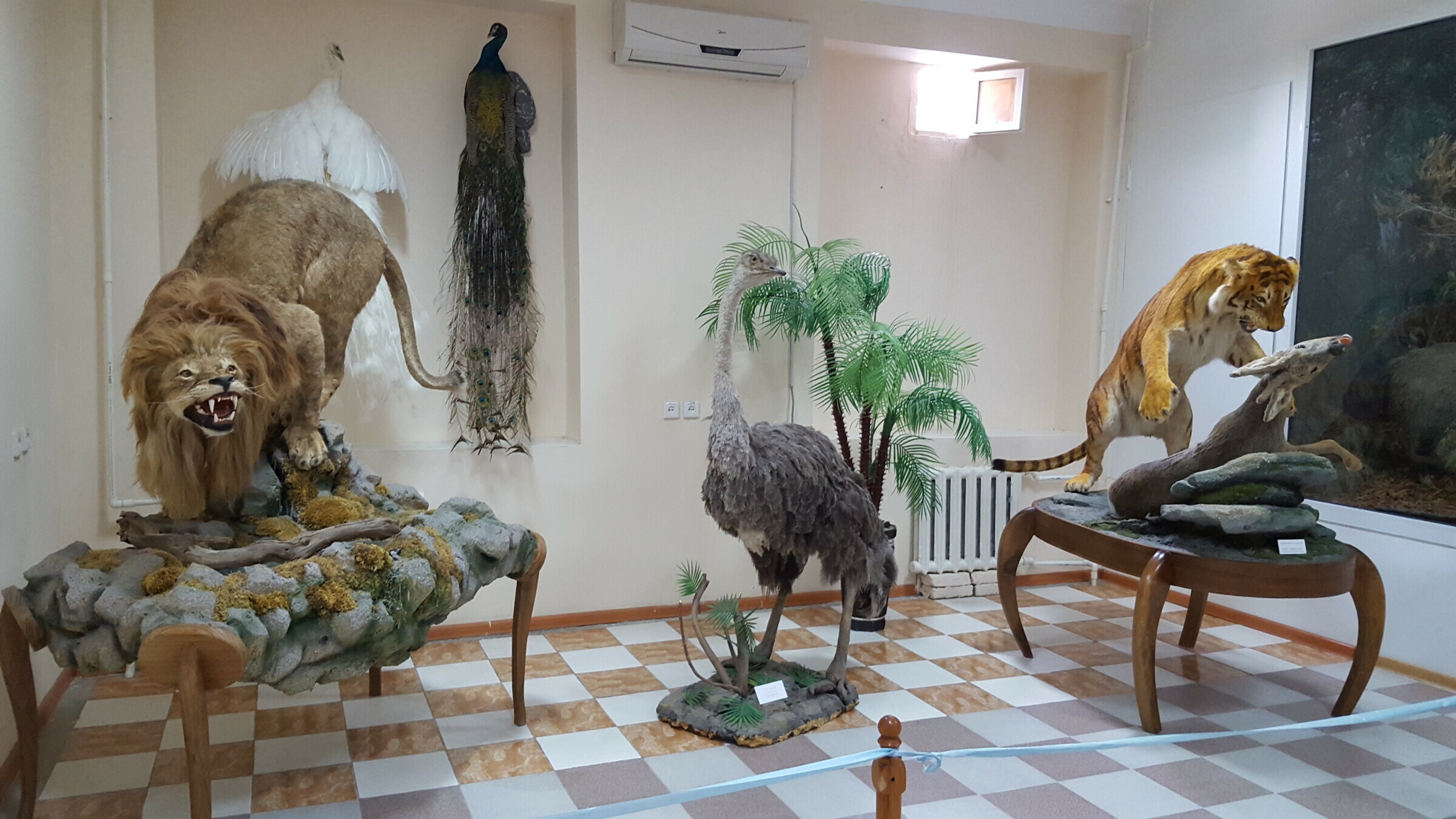 Музей природы Узбекистана (Ташкент)