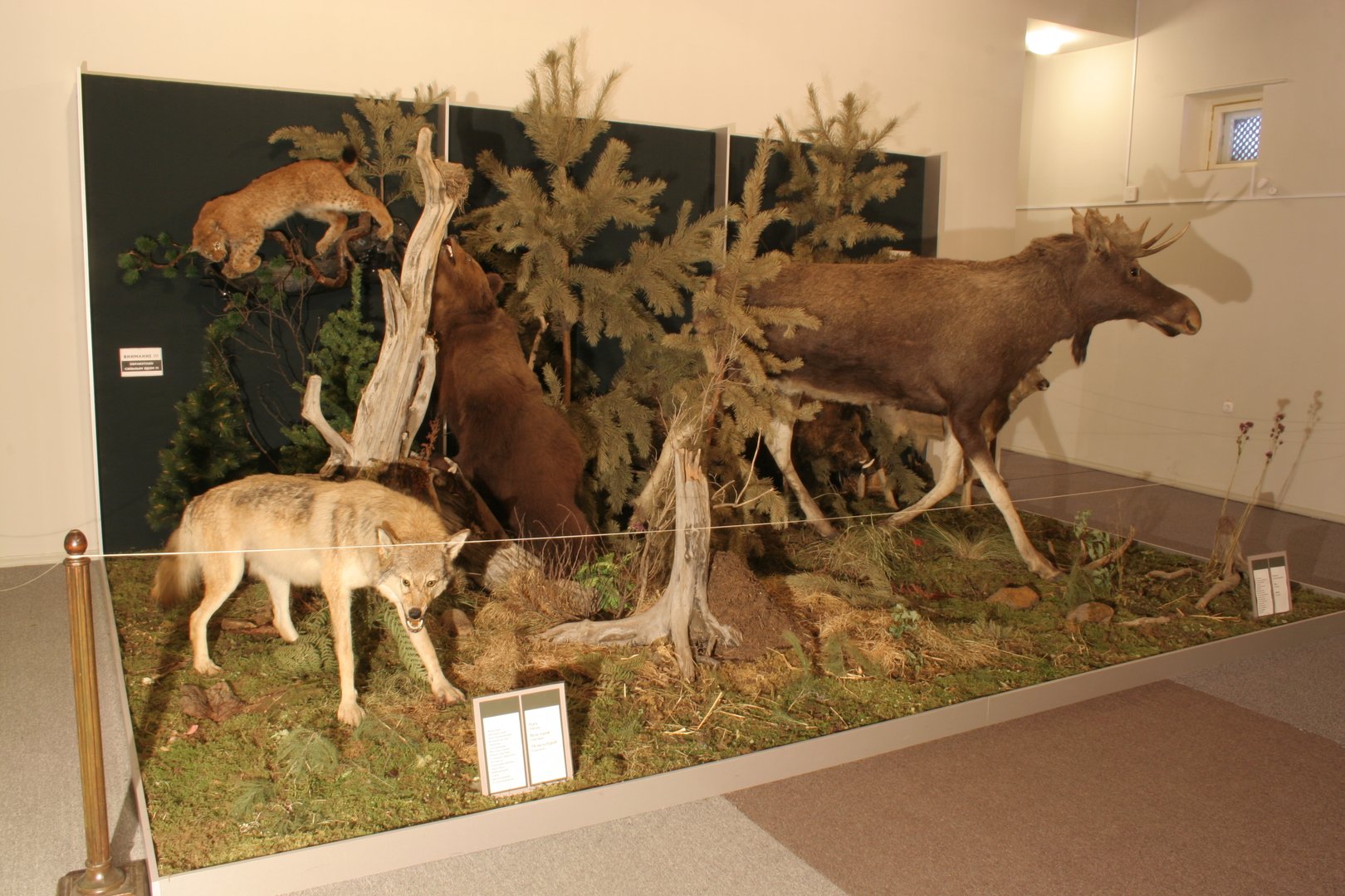 Музей охраны природы (Мытищи)