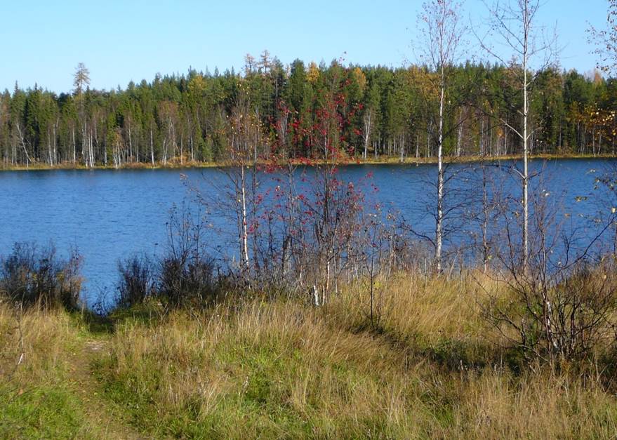Озеро Большое Параськино (Ухта)