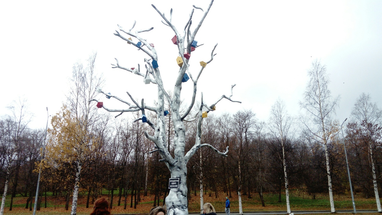 Дерево желаний (Петрозаводск)