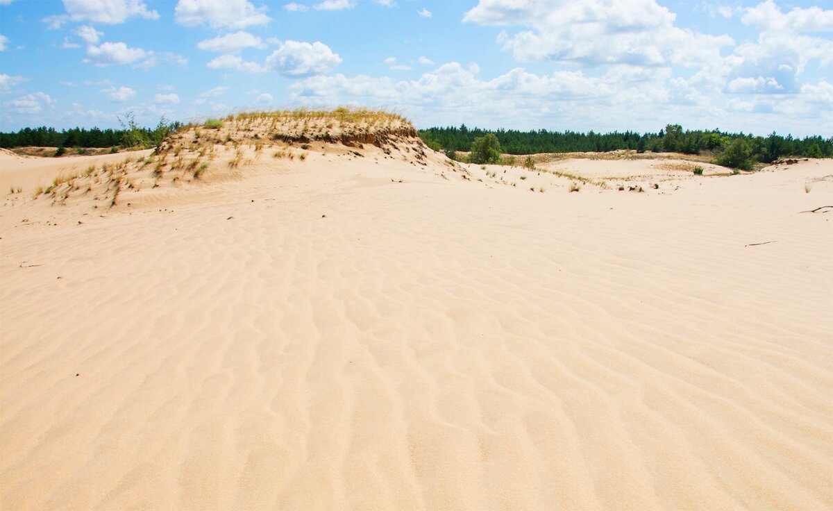 Арчединско-Донские пески (Волгоградская область)