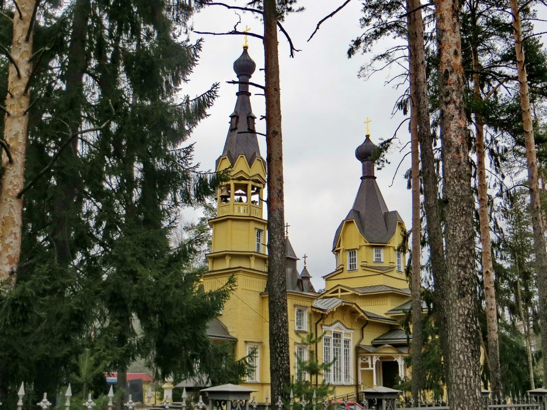 Петропавловская церковь (Вырица)