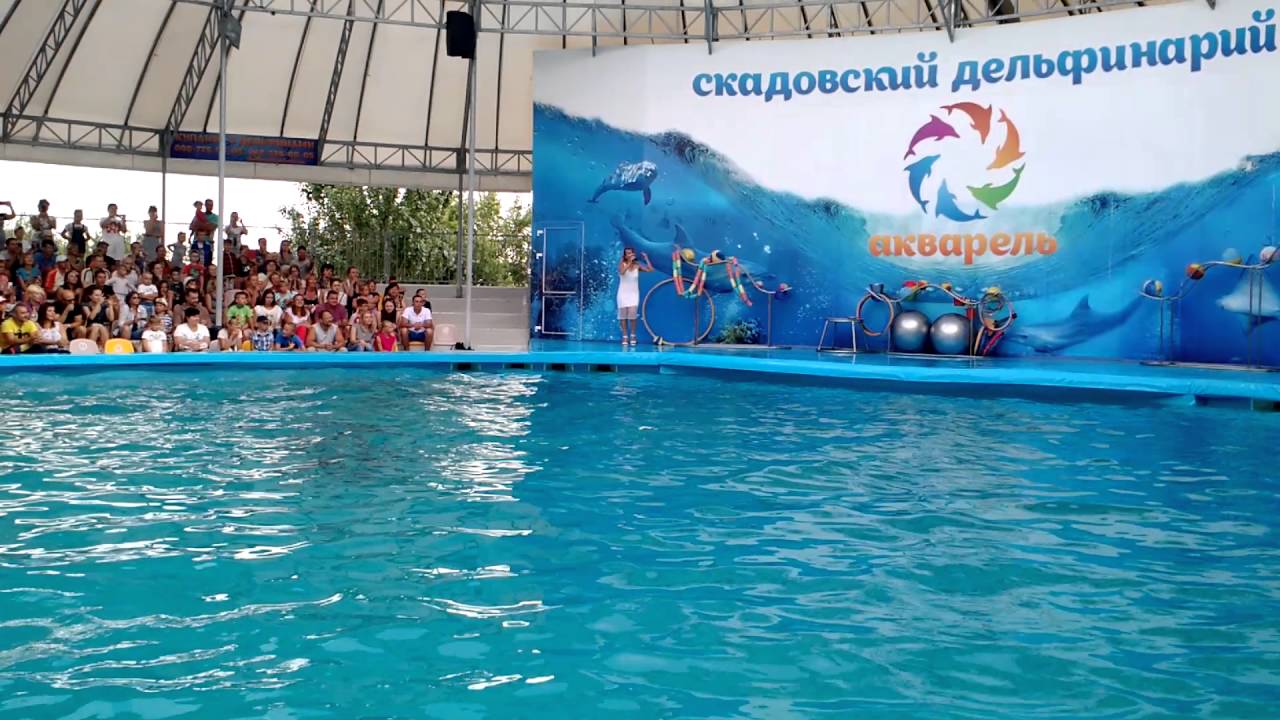 Дельфинарий «Акварель» (Скадовск)