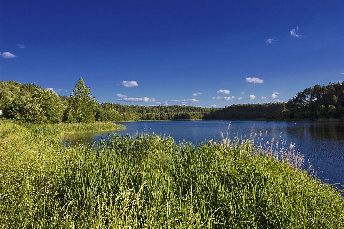 Озеро Липки (Витебская область)