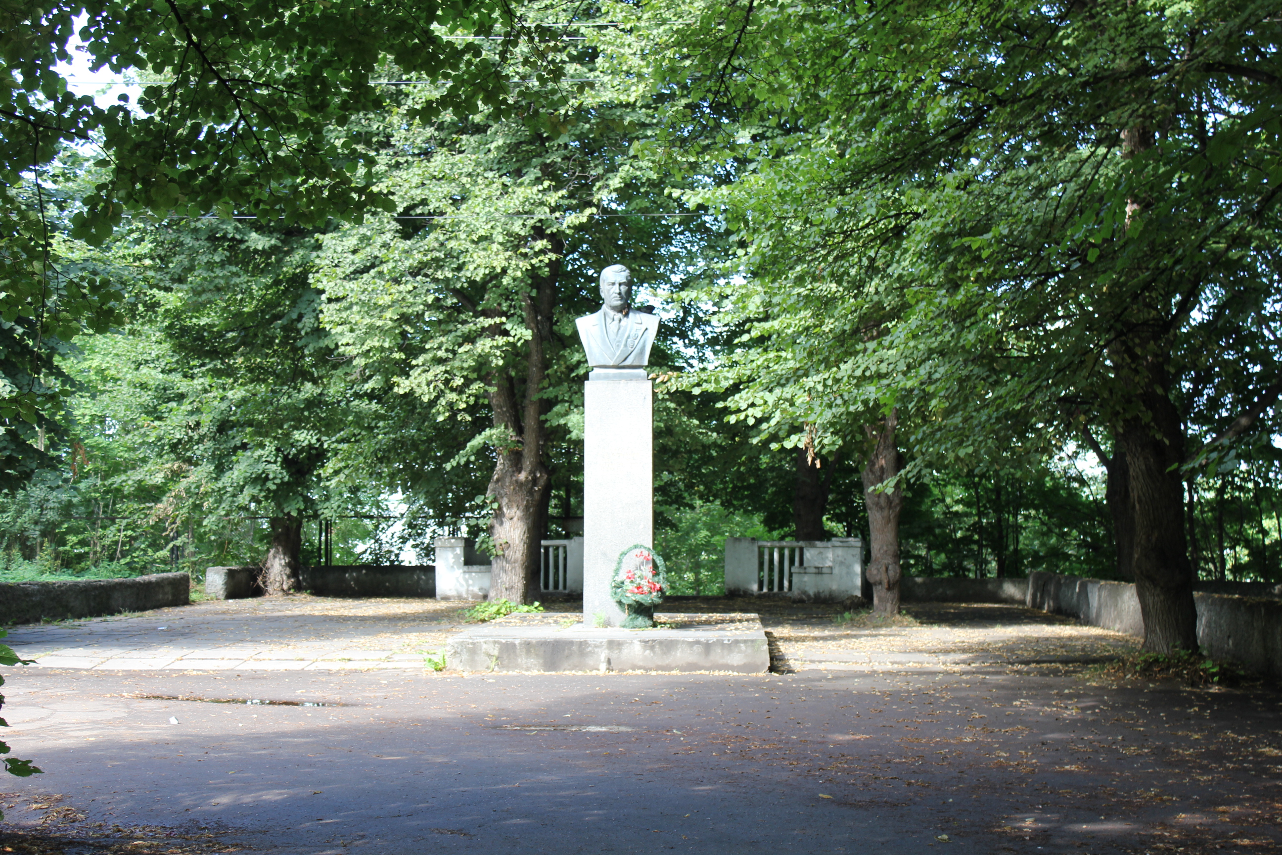 Памятник академику Г. О. Графтио (Волхов)