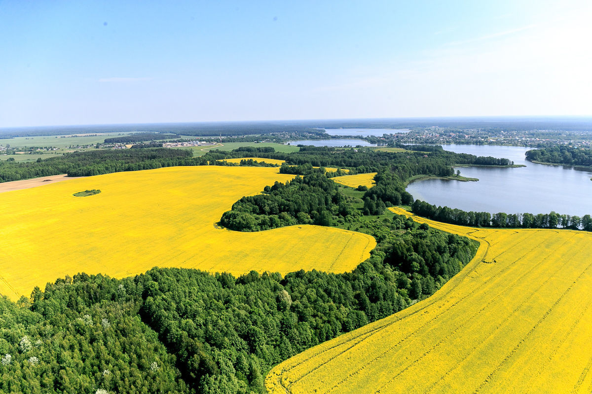 Фото на аву беларусь