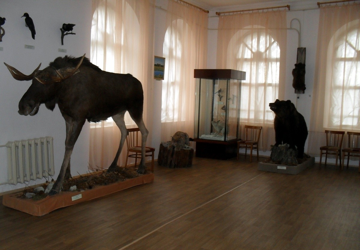 Вохомский краеведческий музей (Костромская область)