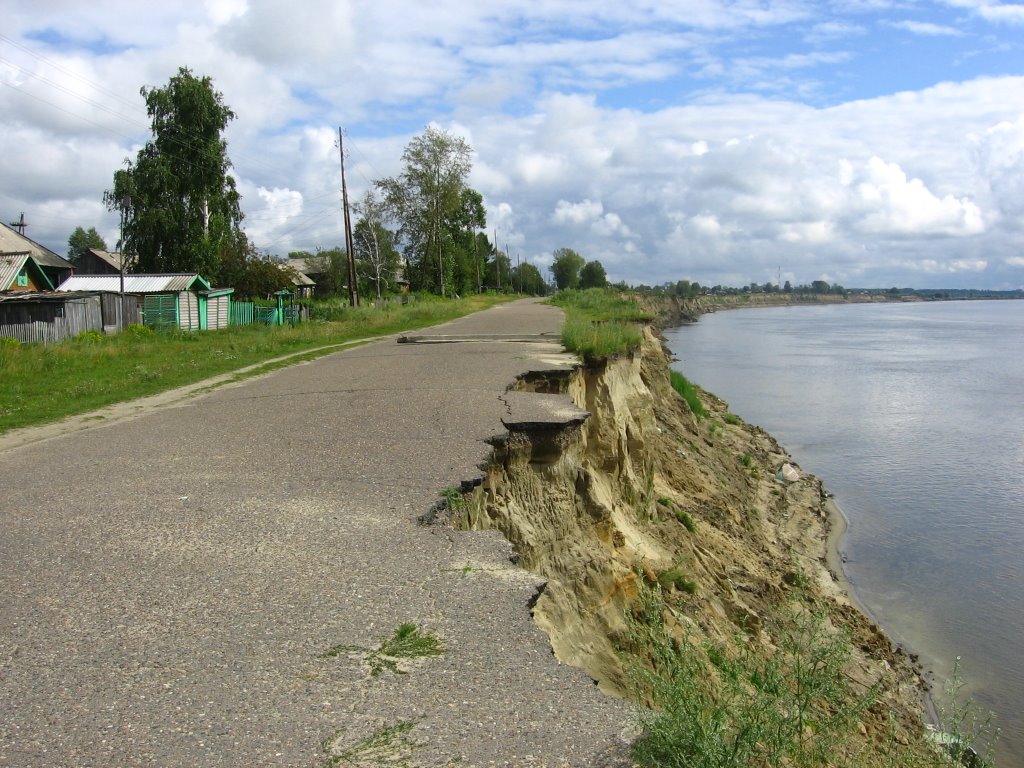 Колпашевский яр (Томская область)