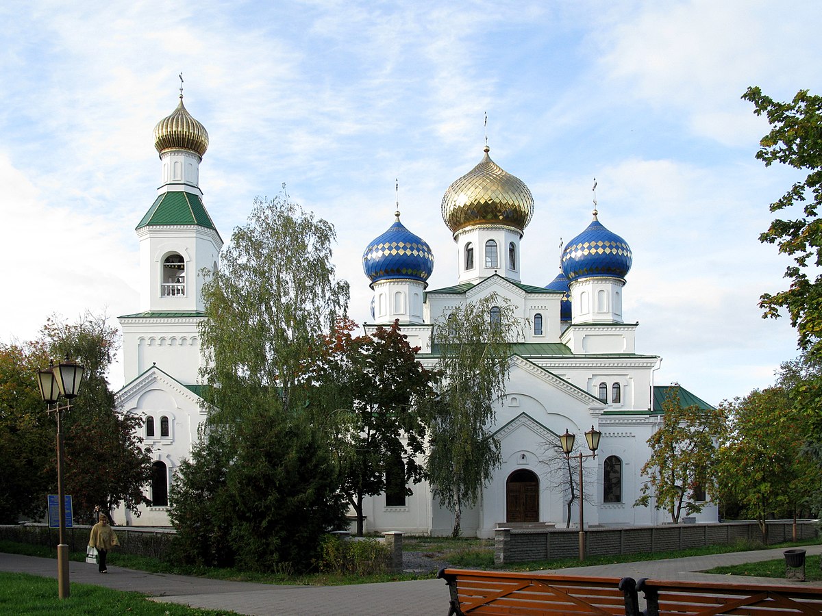 Свято-Николаевский кафедральный собор (Бобруйск)