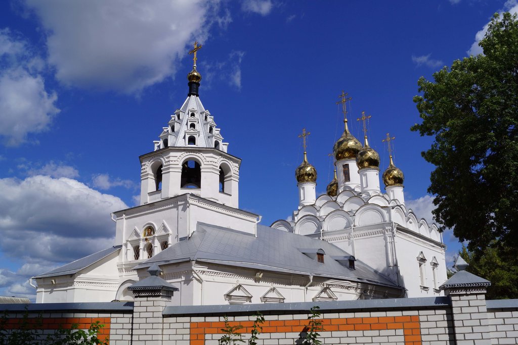 Петропавловский монастырь и Введенская церковь (Брянск)