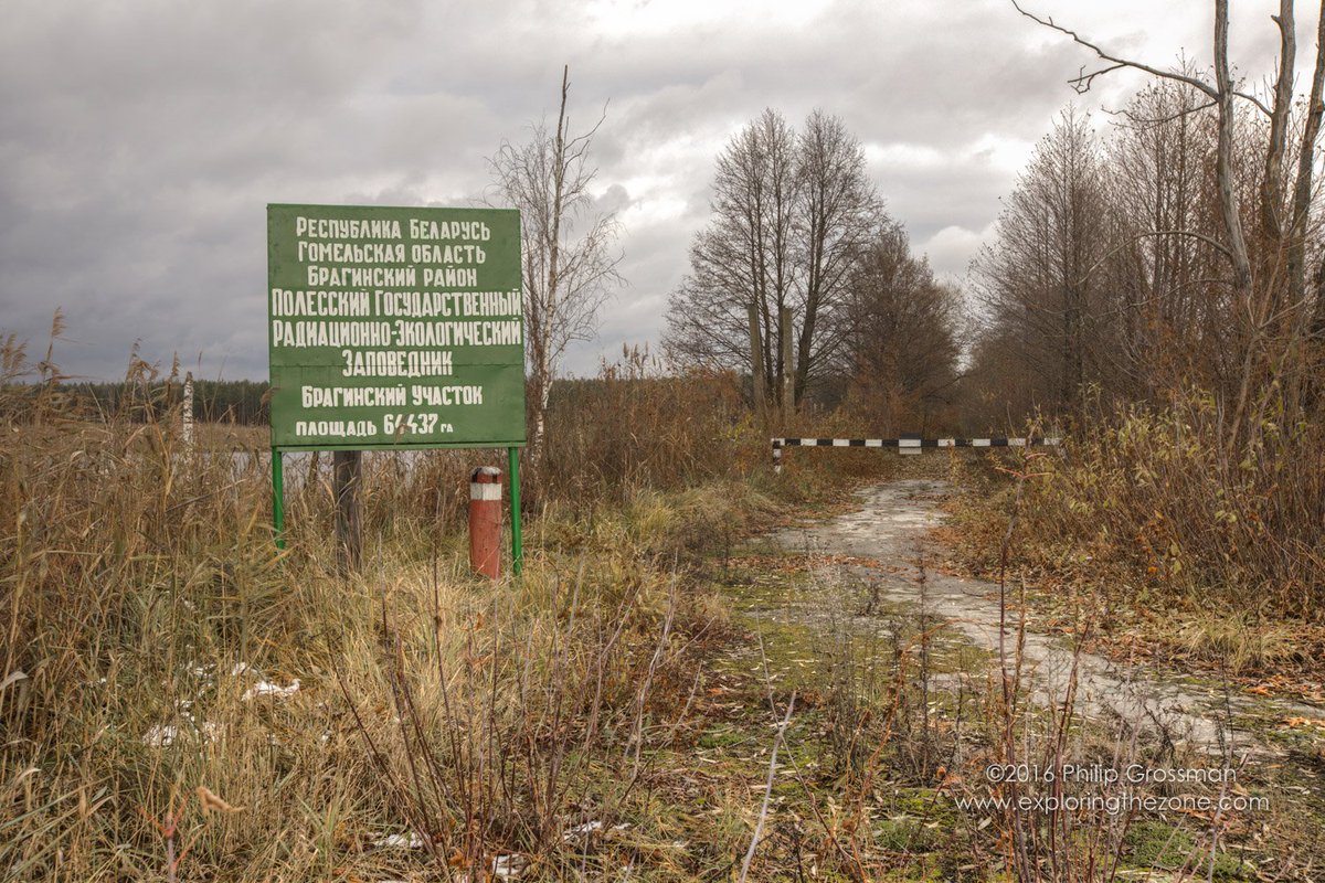 Полесский государственный радиационно-экологический заповедник (Гомельская область)