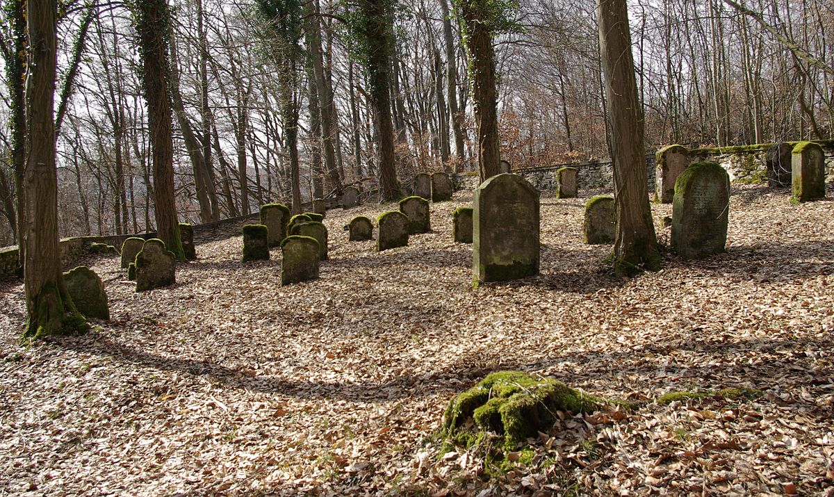 Кладбище еврейское (Борисов)