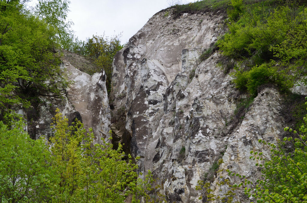 Меловые скалы в Сторожевом (Воронежская область)