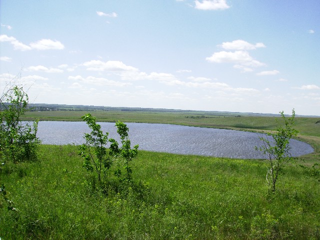 Бабье озеро (Воронежская область)
