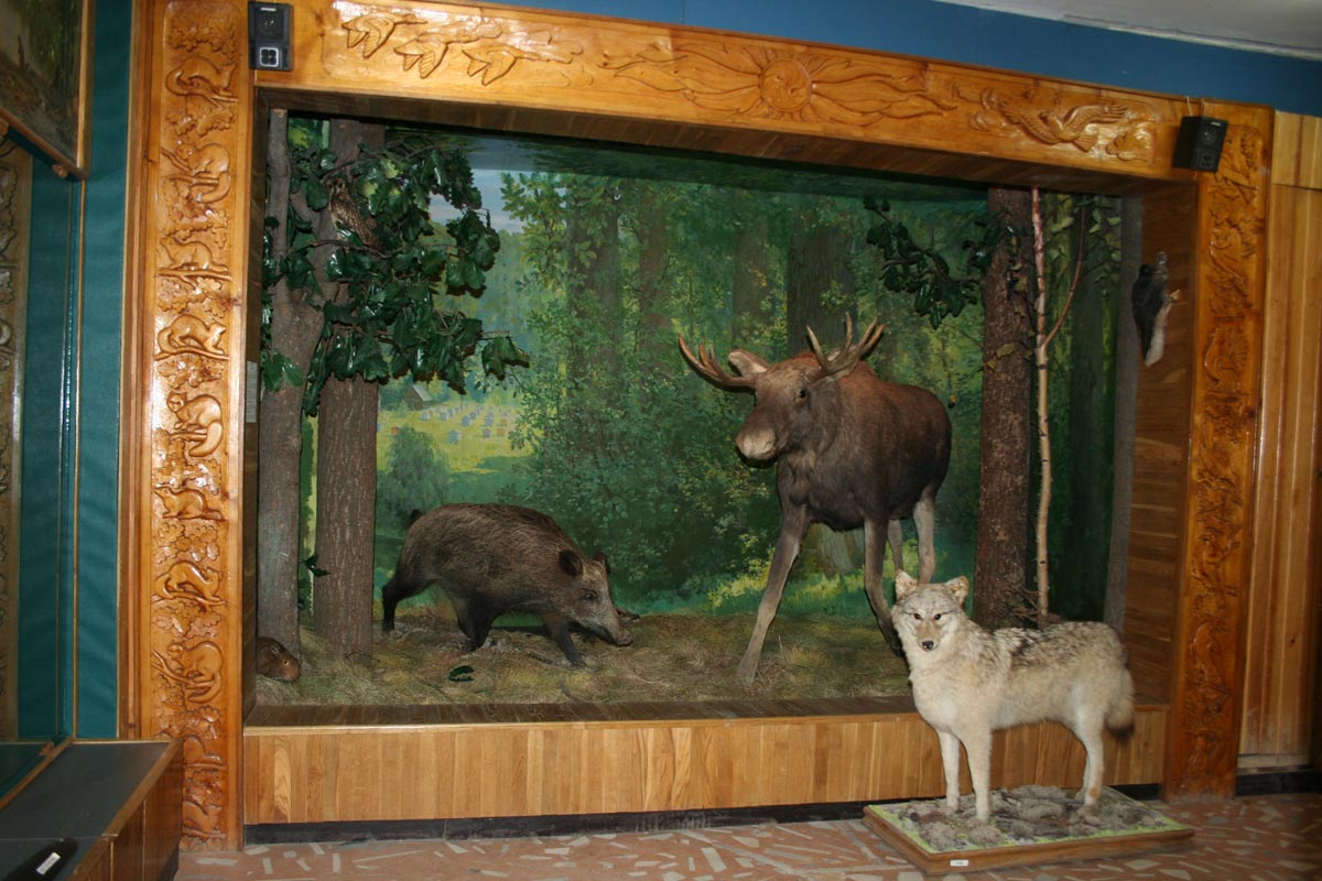 Республиканский музей леса (Чебоксары)