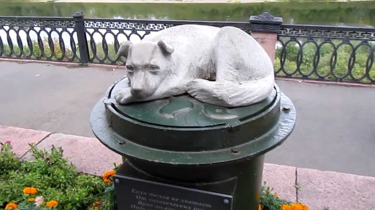 Памятник бездомной собаке (Кемерово)