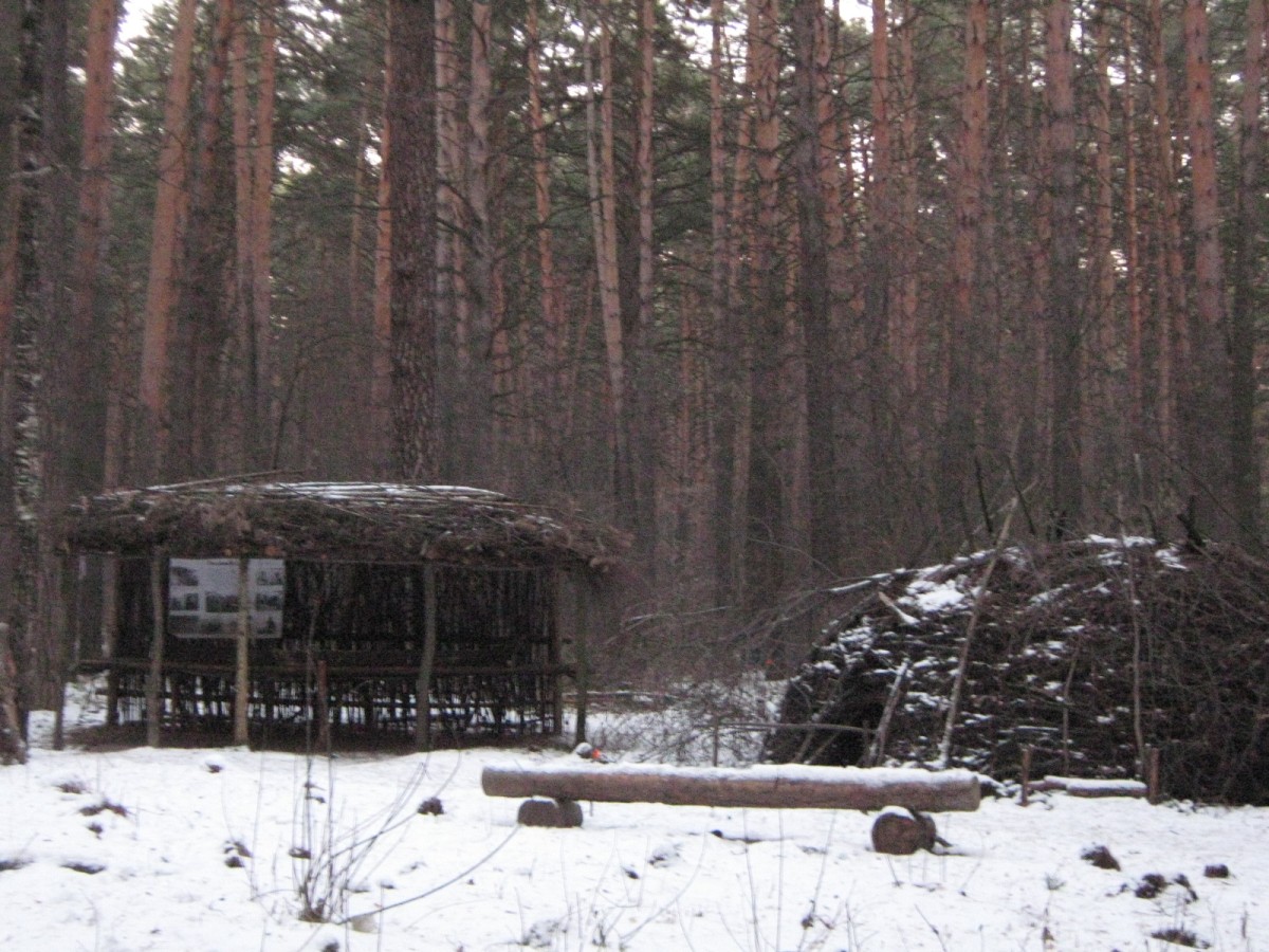 Этнопоселение в Заельцовском парке (Новосибирск)