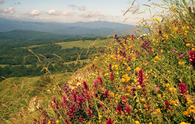 Псебай краснодарский край фото