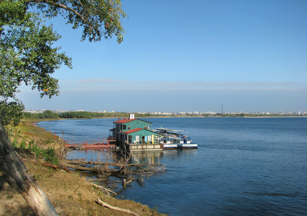 Остров Сарпинский (Волгоград)