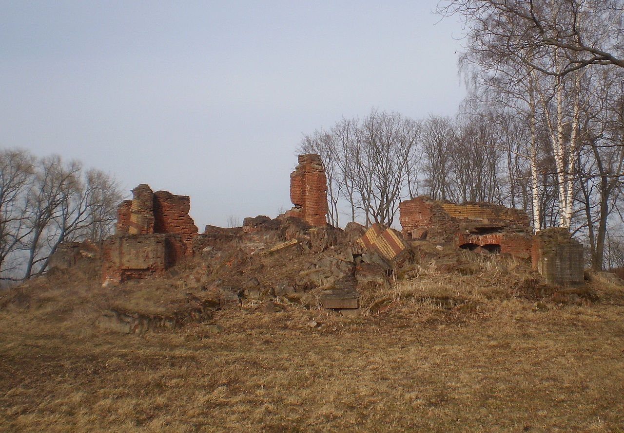 Развалины Нижней дачи Николая II (Петергоф)
