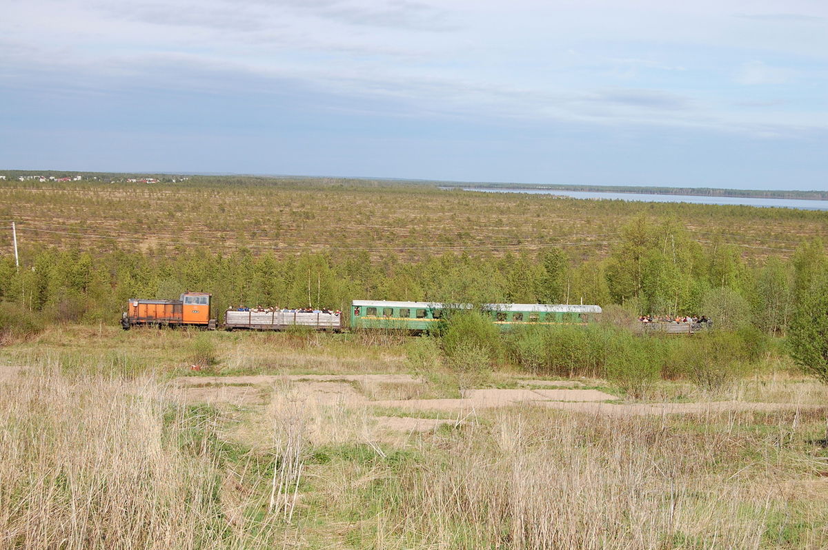 Кудемская узкоколейная железная дорога (Северодвинск)