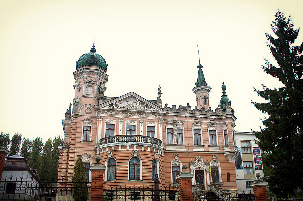 Национальный музей им. Шептицкого (Львов)