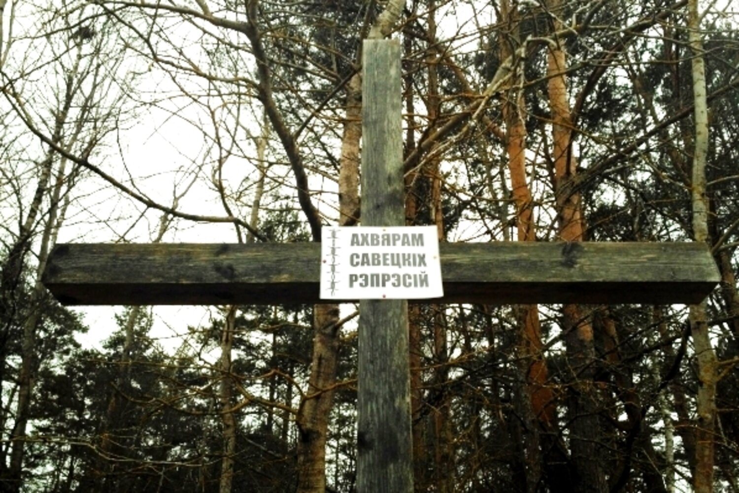 Крест на месте расстрела Ростислава Лапицкого (Вилейка)