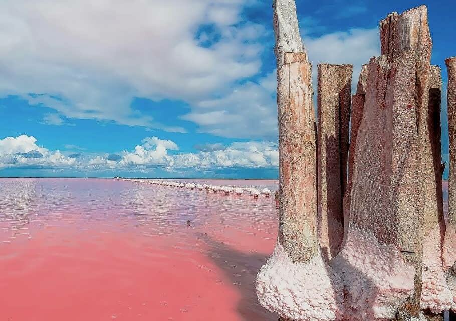 Розовое озеро Сасык-Сиваш (Евпатория)