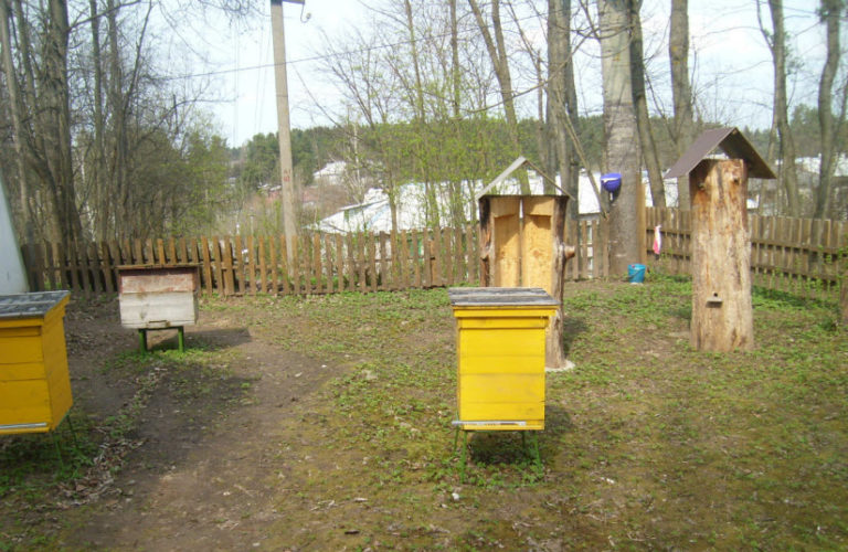Музей пчеловодства «Пчелиная усадьба» (Пушкинские Горы)