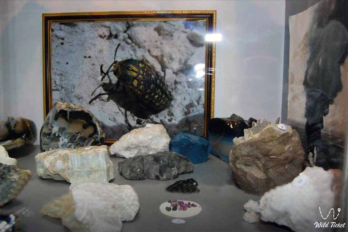 Музей палеонтологии в Атырау (Казахстан)
