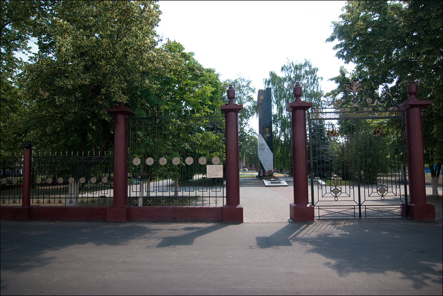 Кованые ворота (Урюпинск)