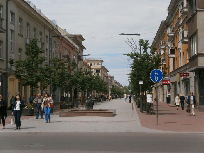 Шяуляйский бульвар (Литва)