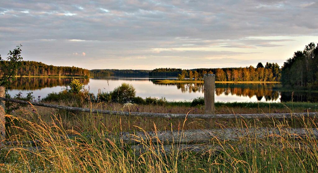 Озеро Бросно (Тверская область)