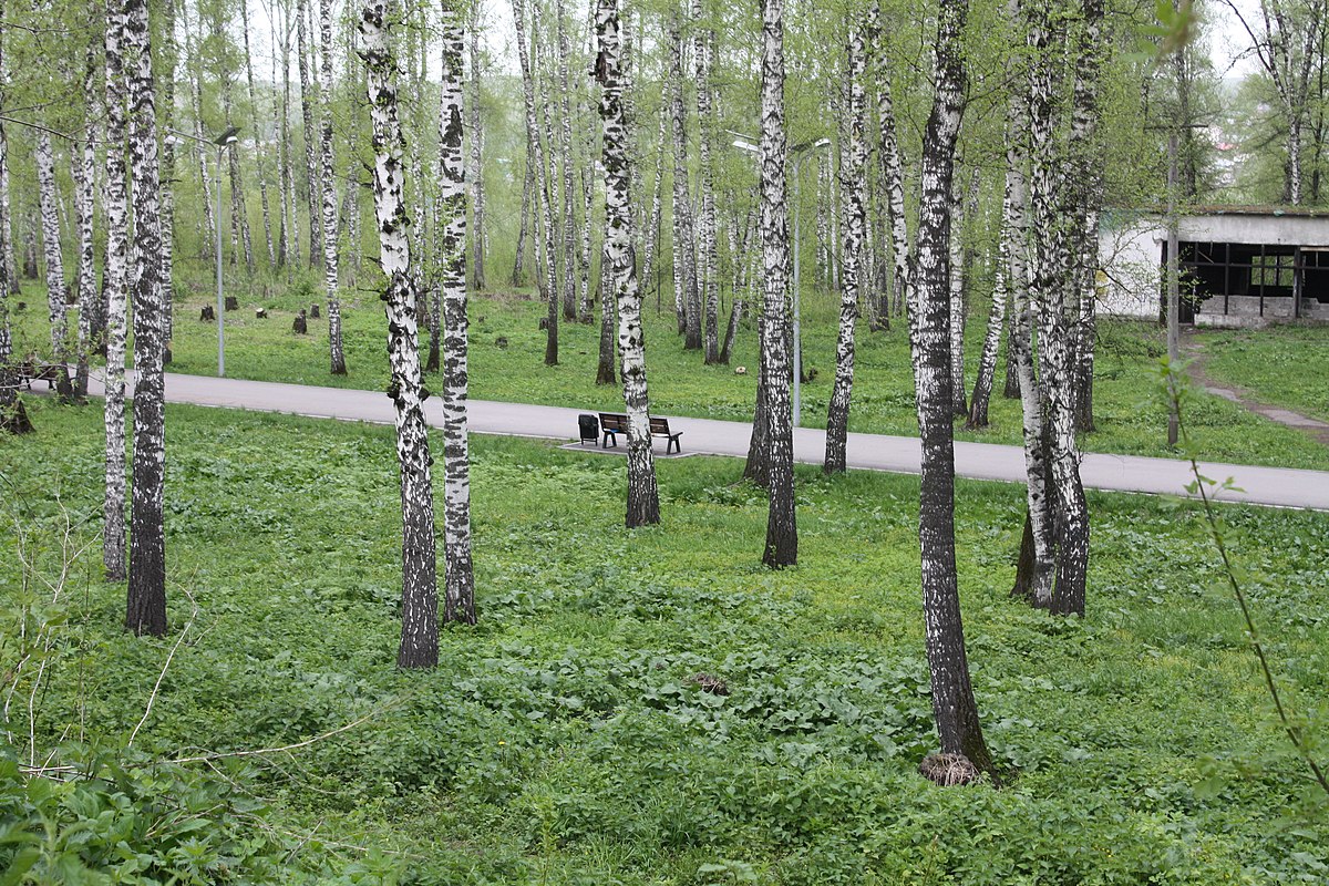 Парк имени Ф. Э. Дзержинского (Новосибирск)