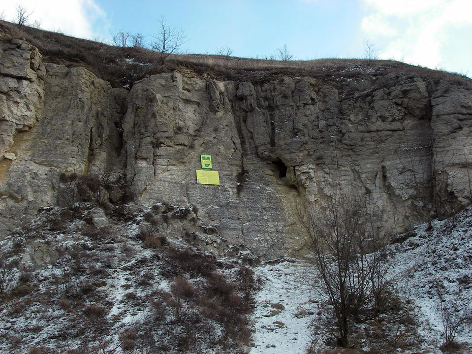 Пещера «Кристальная» (Каменец-Подольский)