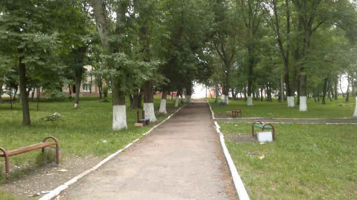 Городской парк (Шацк)