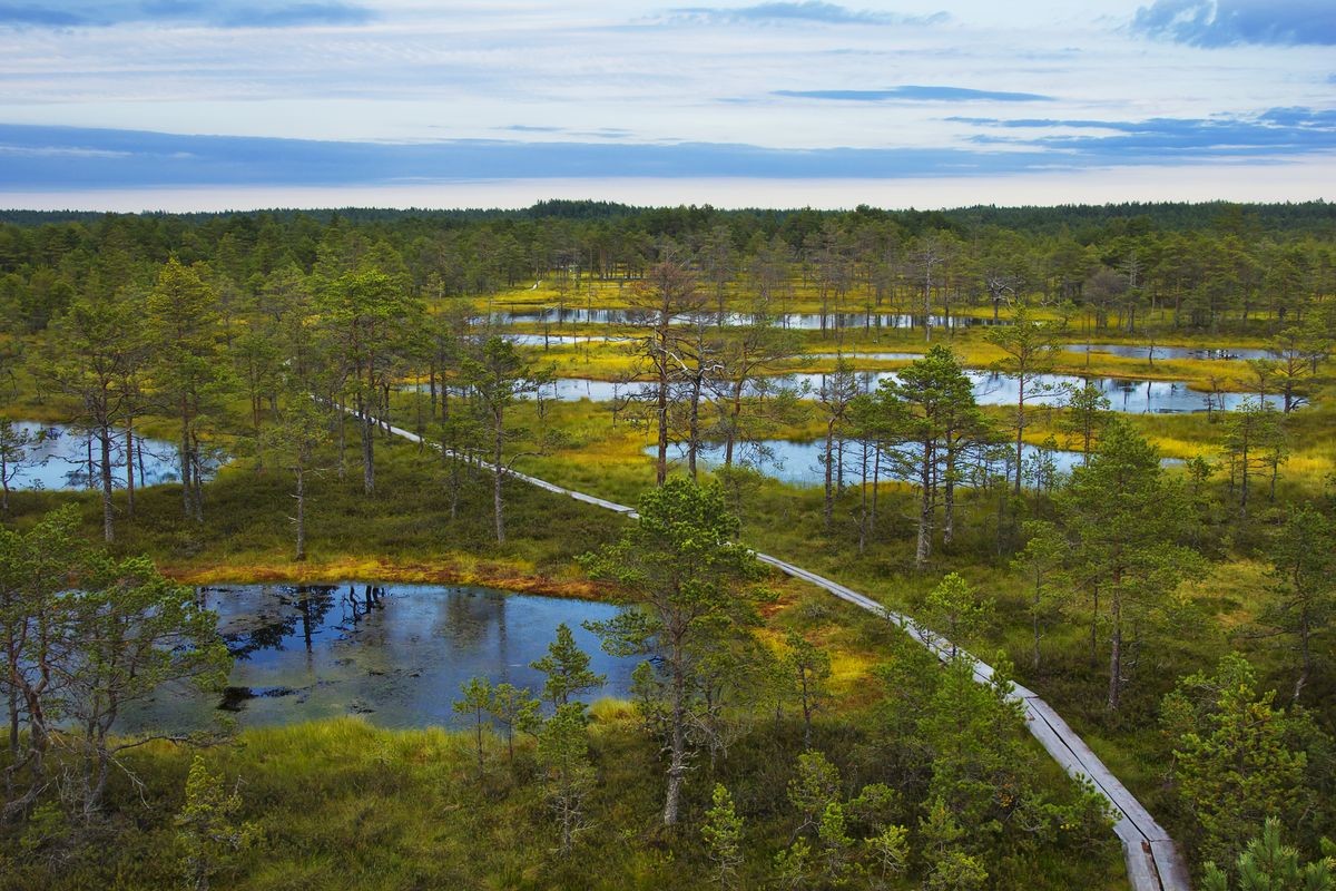 Лахемааский национальный парк Эстония