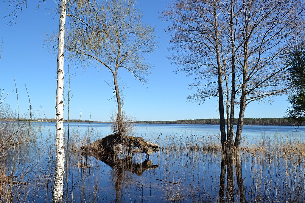 Святое озеро (Шатура)