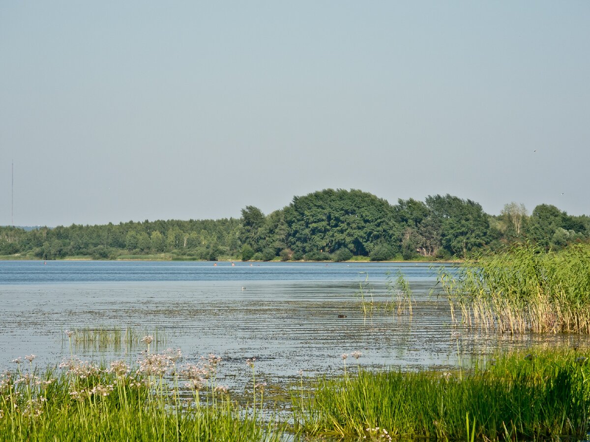 Галичское озеро (Галич)