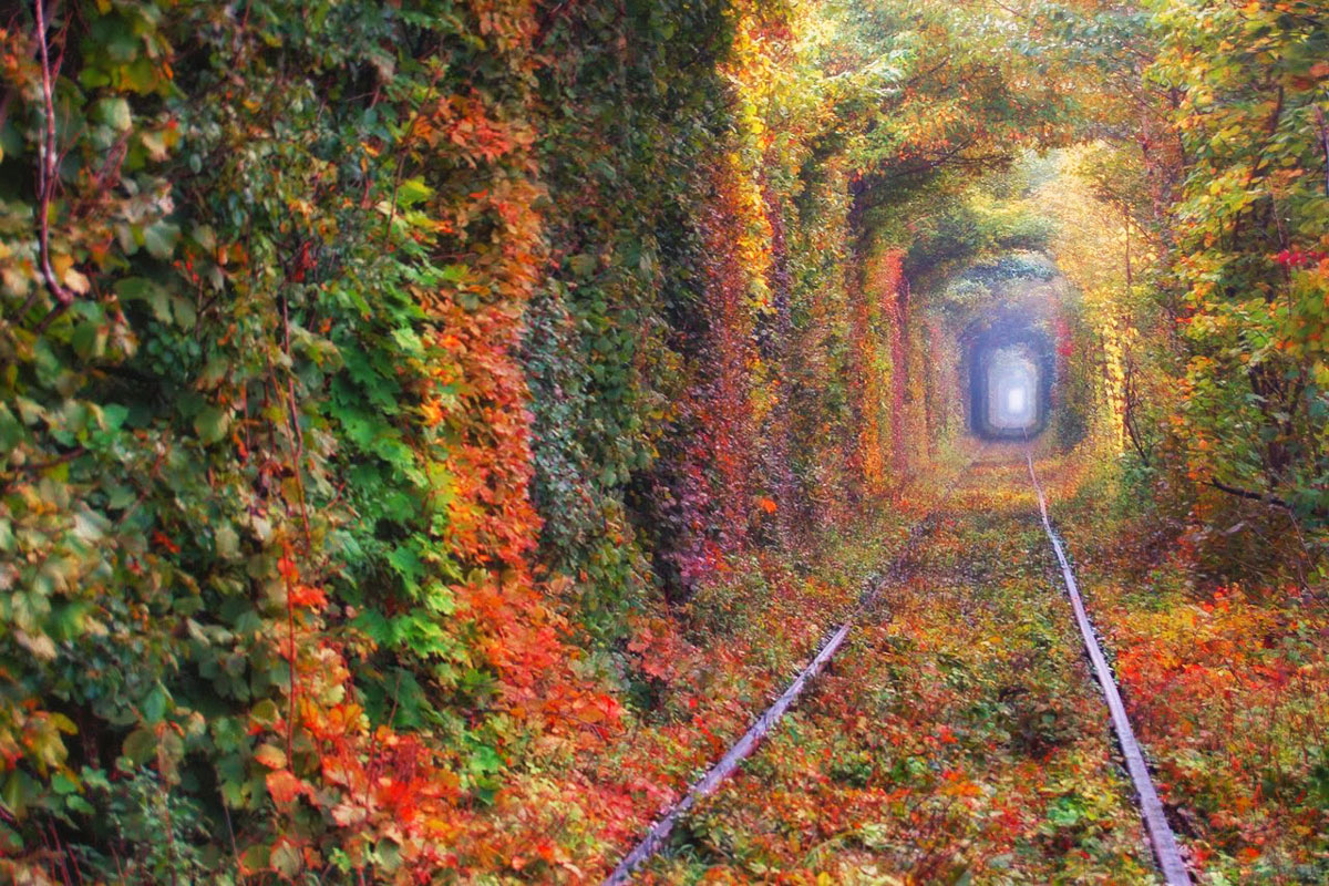 Тоннель любви (Ровненская область)