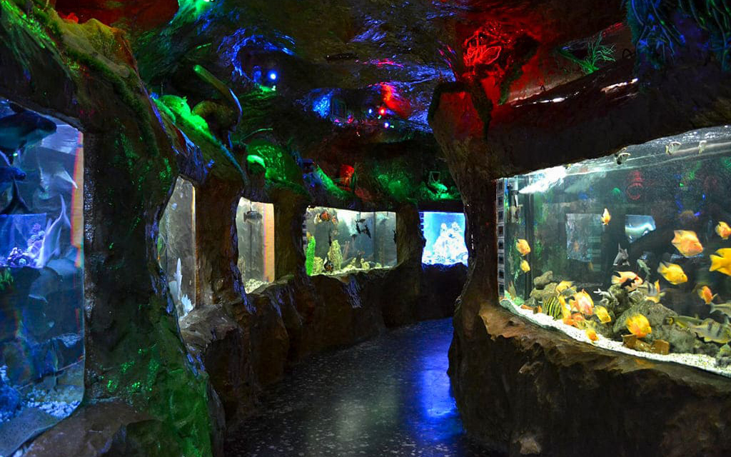 Евпаторийский аквариум (Евпатория)