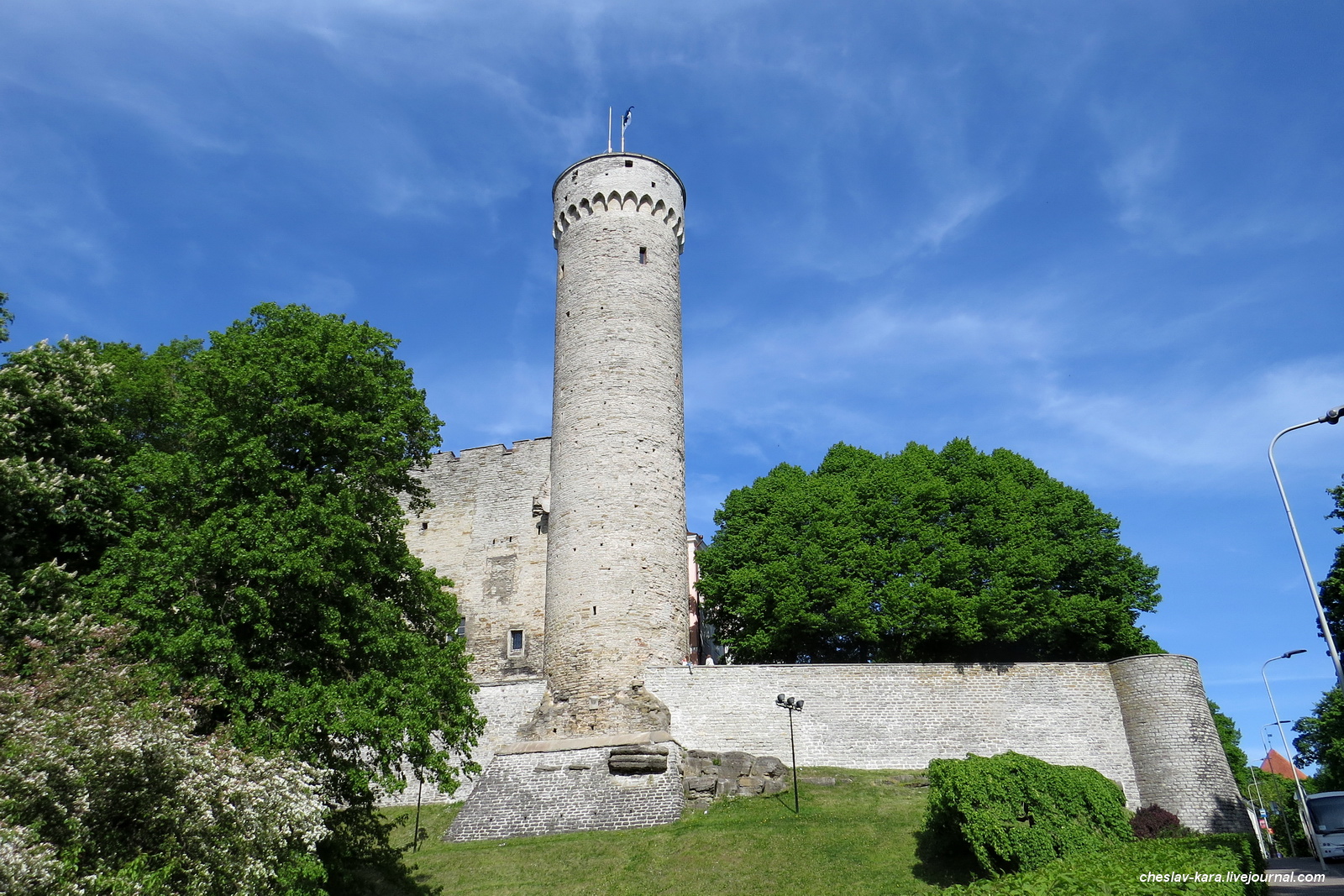 Замок Тоомпеа и башня «Длинный Герман» (Таллин)