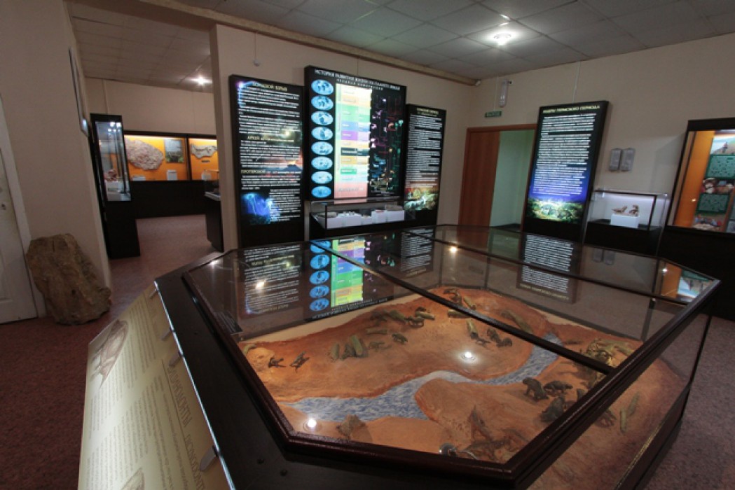 Котельничский палеонтологический музей (Котельнич)