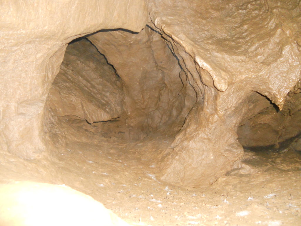 Барсуковская пещера (Новосибирская область)