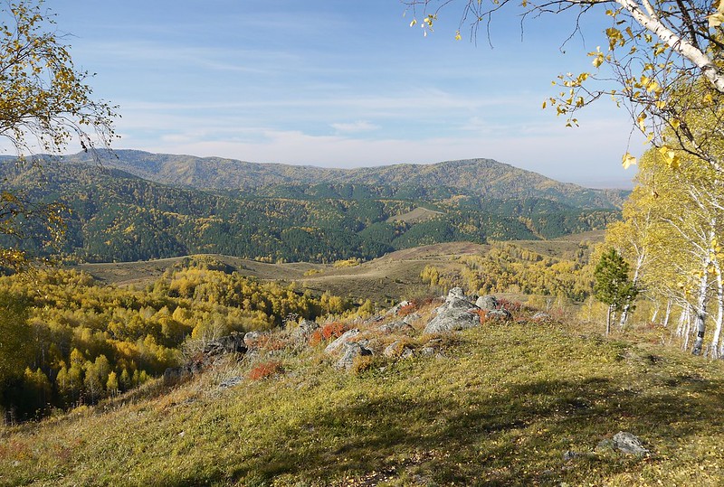 Барнаул белокуриха на машине